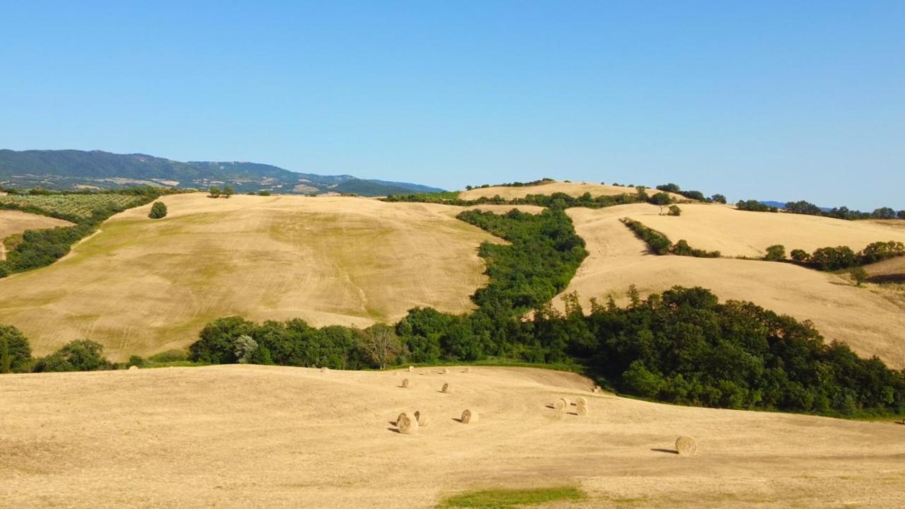Glamping Le Dune Cinigiano Екстер'єр фото