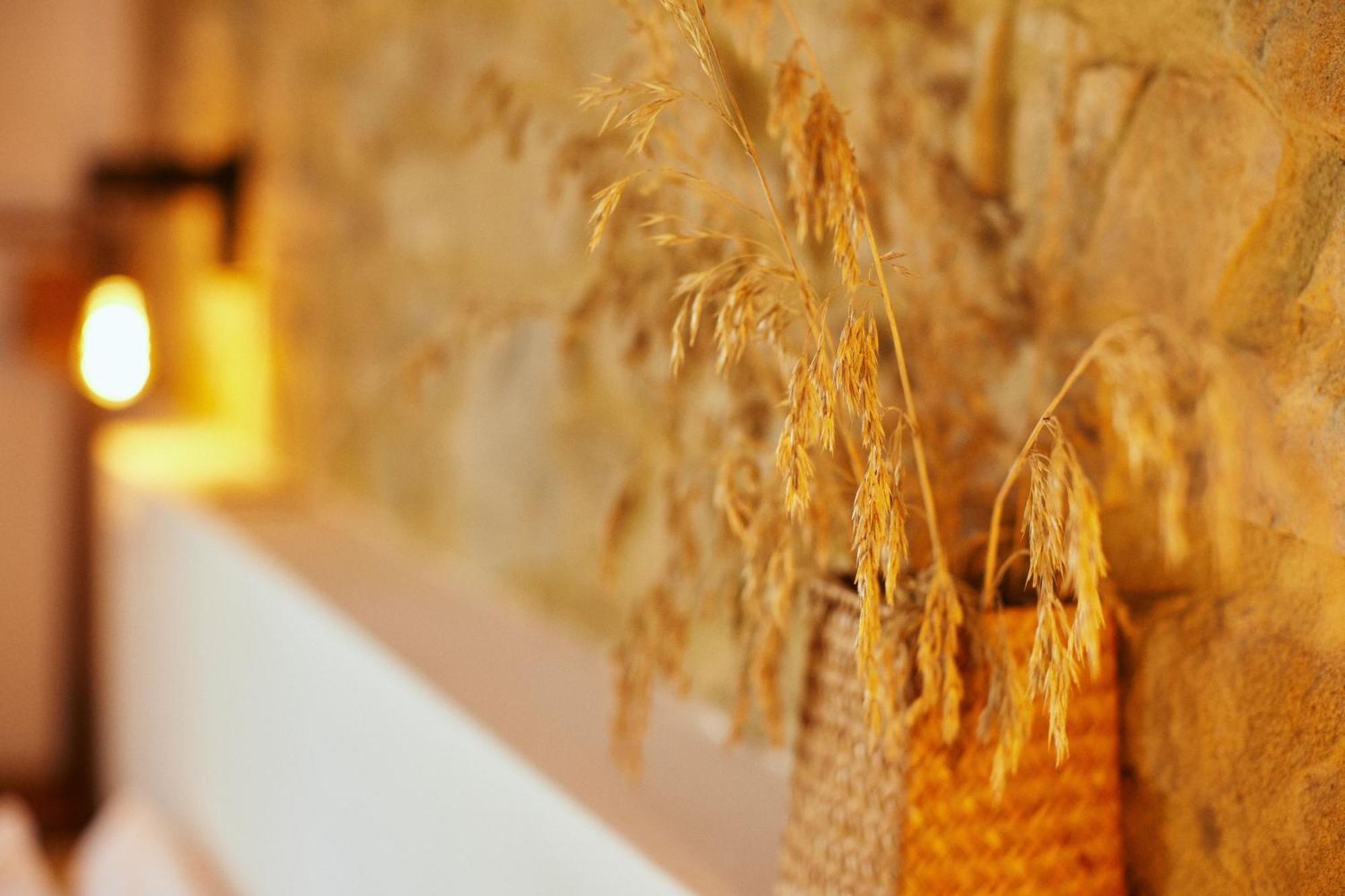 Glamping Le Dune Cinigiano Екстер'єр фото